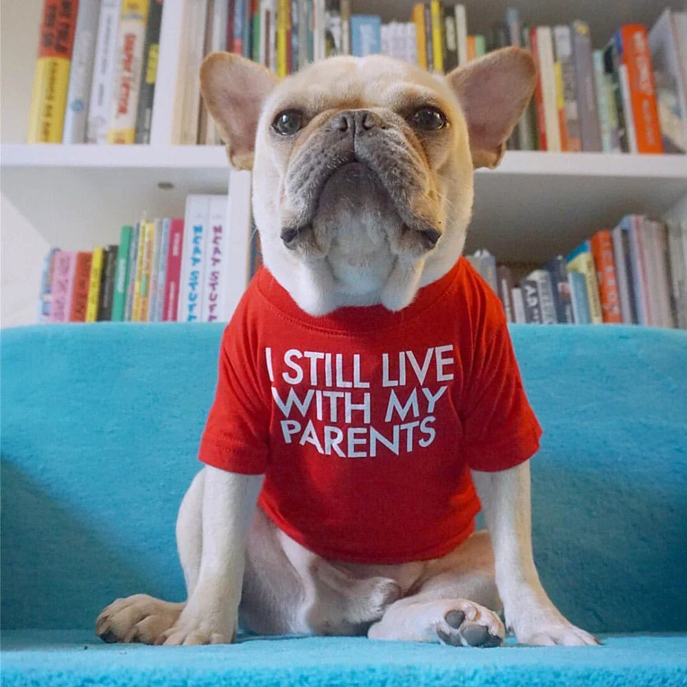 Summer Spring Dog Clothes Quality Breathable Pet Clothing Soft Letters Printed French Bulldog Clothes for Small Dogs T-Shirt