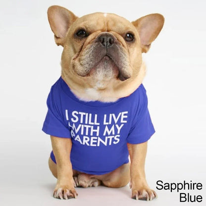 Summer Spring Dog Clothes Quality Breathable Pet Clothing Soft Letters Printed French Bulldog Clothes for Small Dogs T-Shirt