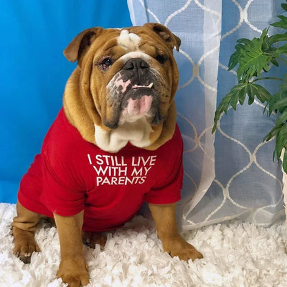 Summer Spring Dog Clothes Quality Breathable Pet Clothing Soft Letters Printed French Bulldog Clothes for Small Dogs T-Shirt