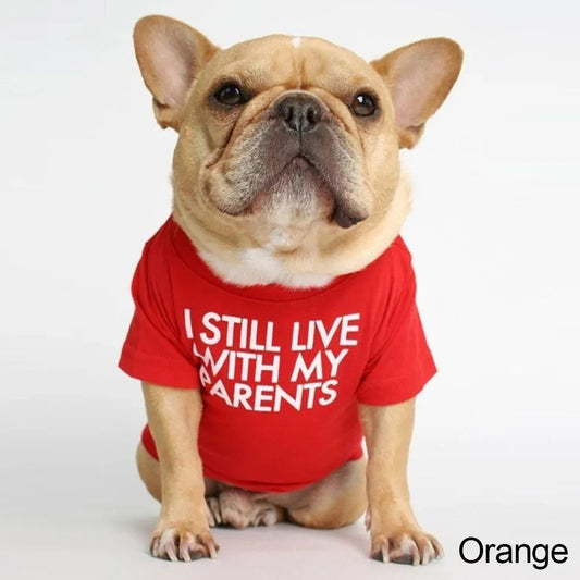 Rent-Free Tee