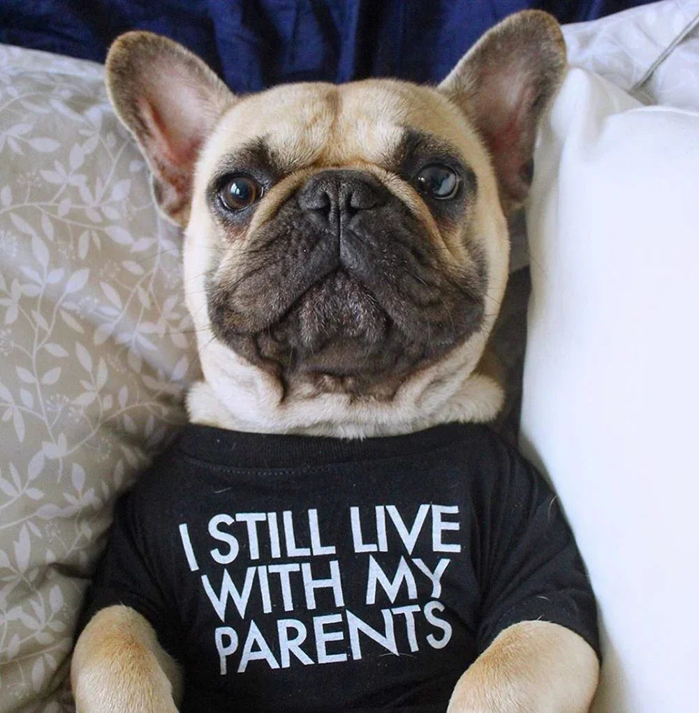 Summer Spring Dog Clothes Quality Breathable Pet Clothing Soft Letters Printed French Bulldog Clothes for Small Dogs T-Shirt