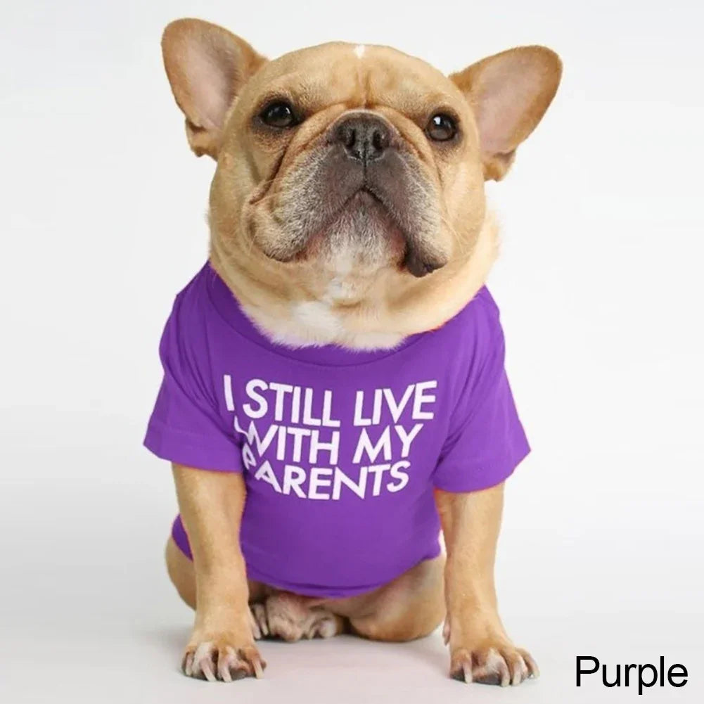 Summer Spring Dog Clothes Quality Breathable Pet Clothing Soft Letters Printed French Bulldog Clothes for Small Dogs T-Shirt