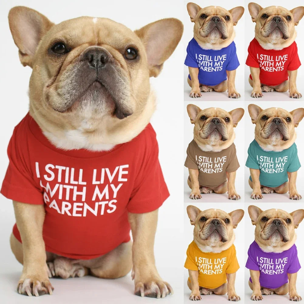 Summer Spring Dog Clothes Quality Breathable Pet Clothing Soft Letters Printed French Bulldog Clothes for Small Dogs T-Shirt